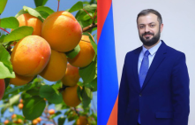 Հունիսի 1-ից հուլիսի 24-ը ՀՀ-ից ՌԴ է մտել ծիրանով բեռնված 2,240 բեռնատար. Պապոյան