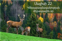 Այսօր Կենսաբազմազանության միջազգային օրն է (Տեսանյութ)