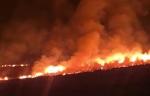 В Армении возникают подозрения о преднамеренности масштабных пожаров, уголовное производство не возбуждено