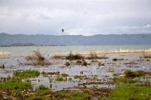 Որքան ջուր է բաց թողնվել Սևանից