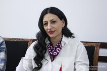 Защитник прав человека посетила лиц, объявивших голодовку на площади Свободы в Ереване