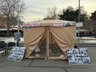 Объявившая голодовку Мане Тандилян отказалась от медицинского вмешательства и вернулась на Площадь Свободы