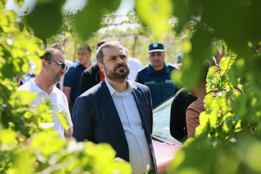Կարկուտը վնաս է հասցրել գյուղատնտեսությանը, վնասները գույքագրվում են. Նախարար