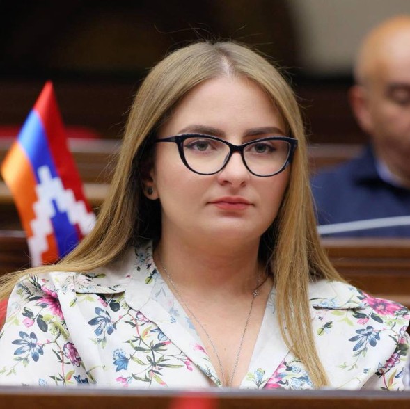 Представители правящей партии проголосовали в рамках Евронеста за антигрузинскую резолюцию, в которой правящая сила Грузии была охарактеризована как «самопровозглашённая»