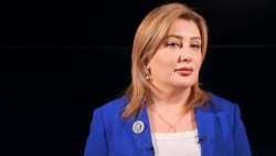 Минздрав и Инспекционный орган здравоохранения и труда разработали новый механизм штрафов для врачей — Ануш Погосян