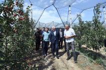 Президент Республики Армения ознакомился с программой интенсивного садоводства в Котайкской области