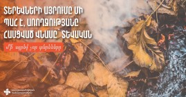 Առողջական ինչ խնդիրներ կարող է առաջացնել օդի աղտոտվածությունը