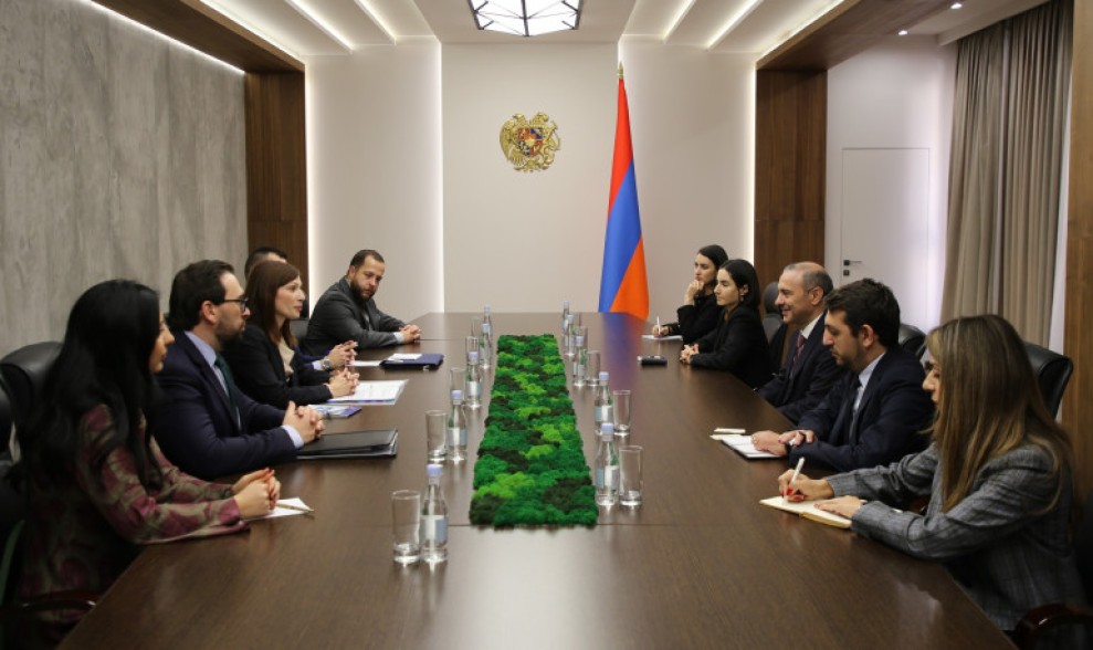 Արմեն Գրիգորյանն ու Իրեն Ֆելինը քննարկել են ՀՀ-ՆԱՏՕ երկկողմ համագործակցությունը