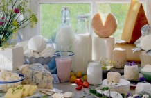 Food Safety Inspection Body denies: no evidence of the use of milk from sick animals was found