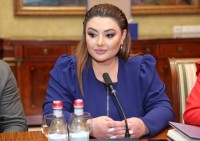 «Что мне опровергать или комментировать?» — Ивета Тоноян об утверждении Пашиняна про «стойку»