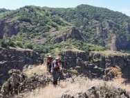 Հայաստանի հարավում իրականացվել է բեզոարյան այծերի հաշվառման գործընթաց