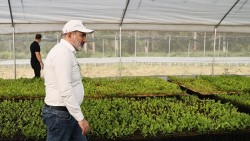 Գյուղատնտեսությունը ծավալ է ենթադրում, հետևաբար, հողերը պետք է խոշորանան. Փաշինյան (Տեսանյութ)