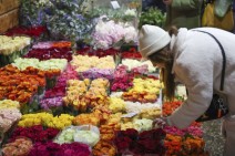 Инспекционный орган по безопасности пищевых продуктов знаком с жалобой «Россельхознадзора», но не комментирует
