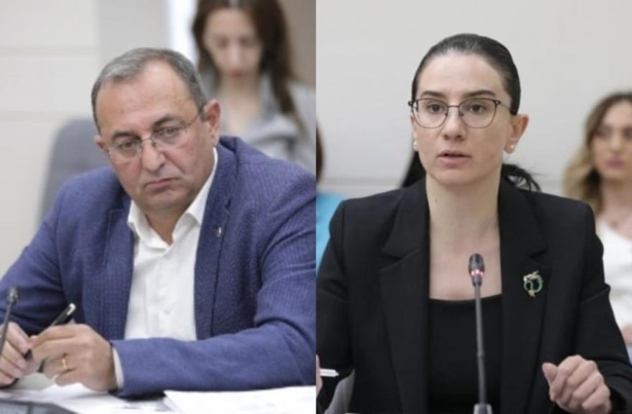 Анна Вардапетян утверждает: Арцвик Минасян не выполнил служебные обязанности и использовал должностное положение вопреки интересам службы (видео)