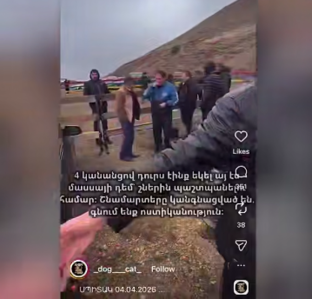 Սպիտակում շնամարտ կազմակերպելու դեպքով 3 անձ ձերբակալվել է