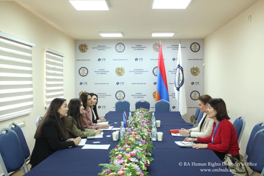 Ներկայացվել են ԼՂ-ից բռնի տեղահանվածների իրավունքների պաշտպանության հարցերը