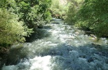 Ջրասուզակները, փրկարարները, ոստիկանները, ՈՄԱ-ի և «Ռաֆտինգ»-ի անդամները 7-րդ օրն է՝ Փամբակ գետում շարունակում են 13-ամյա երեխայի որոնողական աշխատանքները