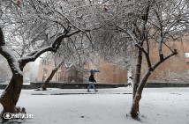 Осадки, туман и гололедица: прогноз погоды на ближайшие дни