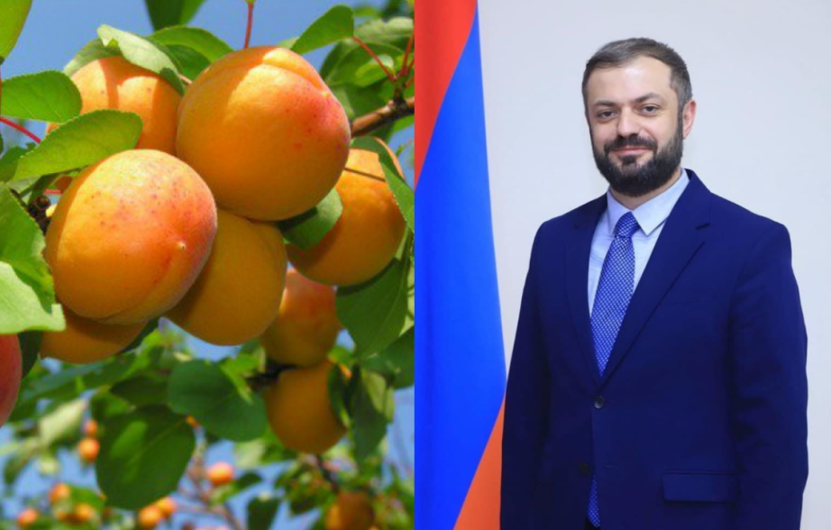 Предлагаю оппозиционным СМИ сегодня "испортить" еще одну партию абрикосов, «экспортированных »в Португалию — член «Гражданского договора»