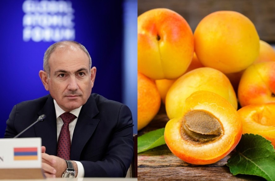 We cannot take apricots to the EU in a bucket – Nikol Pashinyan