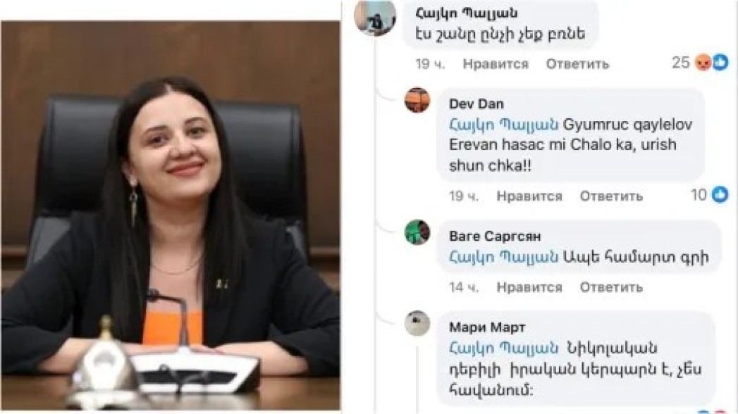 «Ղարաբաղցի՞ ես, թե՞ հայ»․ ՔՊ-ական պատգամավոր Էմմա Պալյանի եղբայրն արցախահայության նկատմամբ ատելություն է գեներացնում