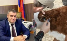 Լաբորատորիայում դաբաղի արձանագրված դեպք չունենք. Գառնիկ Հովհաննիսյան