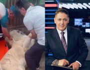 Пресс-секретарь мэра Еревана: было нетрудно предвидеть, что гибель львицы будет политизирована и представлена как умышленное действие