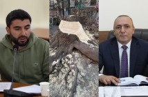 Айрумян сообщает о вырубке здорового дерева, Бегоян реагирует: «Кто такой Айрумян, чтобы решать, здоровое дерево или нет?»