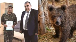 Капитан ВС Армении награждён за спасение детёныша бурого медведя, занесённого в Красную книгу