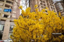 Температура воздуха постепенно повысится на 3–4 градуса