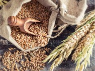 Россия ограничивает ввоз всей подкарантинной продукции из Армении