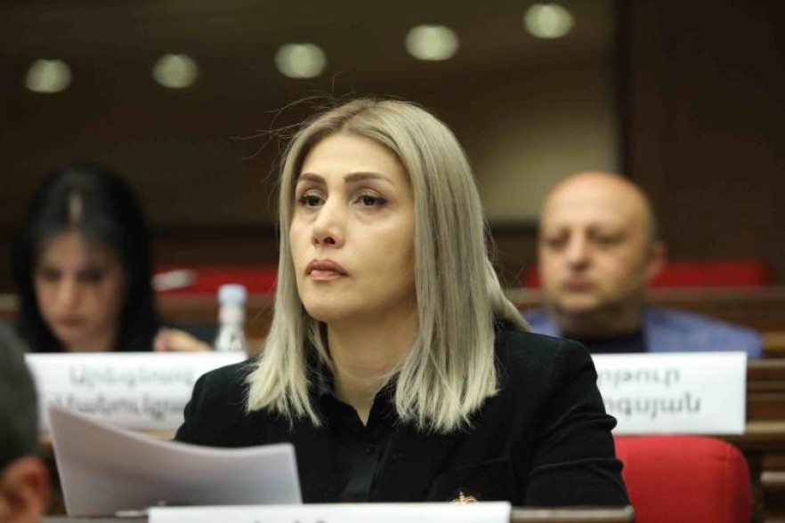Պատերազմ՝ բիզնեսի և քաղաքացու դեմ. Էլինար Վարդանյան