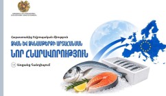 Էկոնոմիկայի նախարարությունը ձուկ և ձկնամթերք արտադրողներին հրավիրում է առցանց իրազեկման միջոցառման