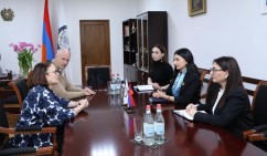 ՄԻՊ-ը և Ֆինլանդիայի դեսպանը կարևորել են միջազգային համագործակցությունը մարդու իրավունքների պաշտպանության և ժողովրդավարական արժեքների ամրապնդման գործում