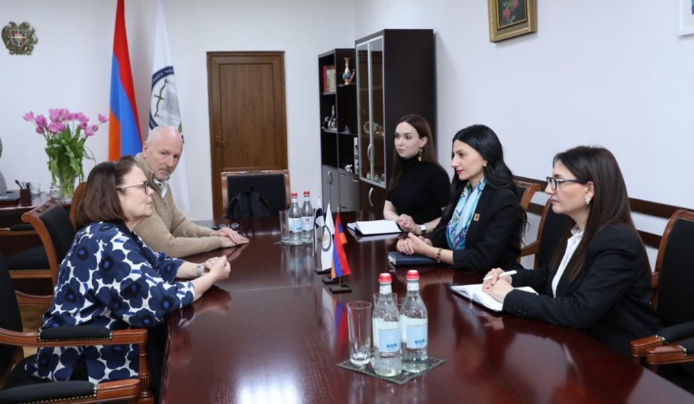 ՄԻՊ-ը և Ֆինլանդիայի դեսպանը կարևորել են միջազգային համագործակցությունը մարդու իրավունքների պաշտպանության և ժողովրդավարական արժեքների ամրապնդման գործում