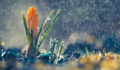 Сегодня – день весеннего равноденствия — Суренян (видео)