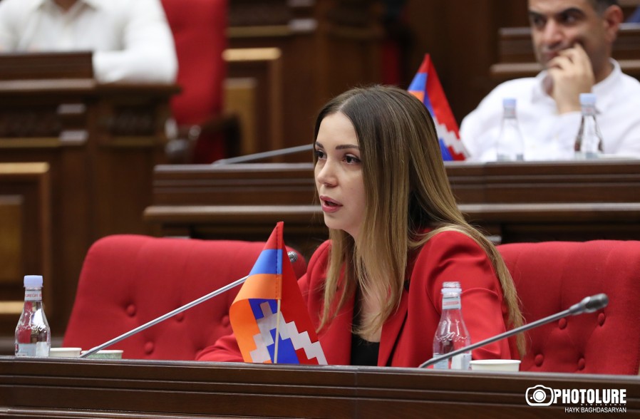 «Говорите что хотите — это проект по захвату ЗАО "Электрические сети Армении": срочность захвата возникла после заявления Самвела Карапетяна» — Григорян (видео)