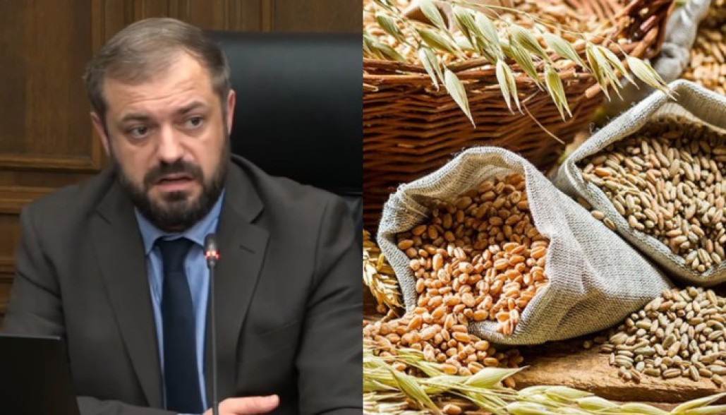 Министр Папоян готов первым попробовать хлеб из завезённой в Армению пшеницы 4-го класса