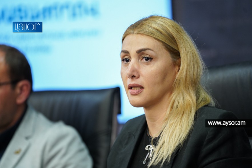 Civil Contract leader has put himself in the position of an investigator, prosecutor and judge – Elinar Vardanyan (Video)