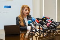 Поведение властей свидетельствует, что без противоправного вмешательства они не могут обеспечить своё переизбрание: Мелоян