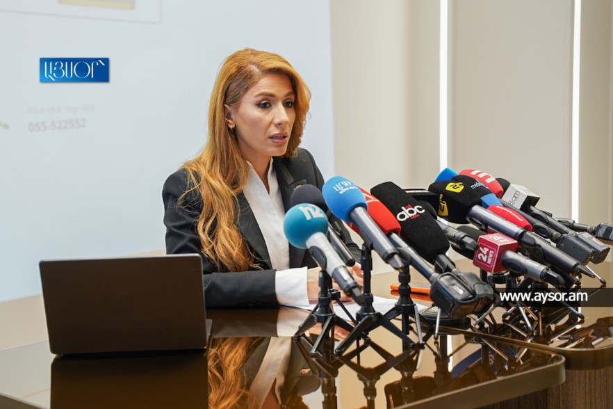 Поведение властей свидетельствует, что без противоправного вмешательства они не могут обеспечить своё переизбрание: Мелоян