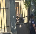 Обыск в доме Баграта Србазана: задержаны участники движения «Священная борьба»: прямая трансляция