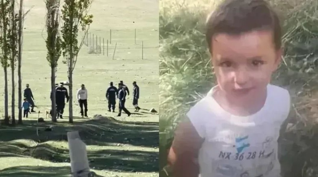На теле 3-летнего Тиграна, в области головы, были обнаружены телесные повреждения