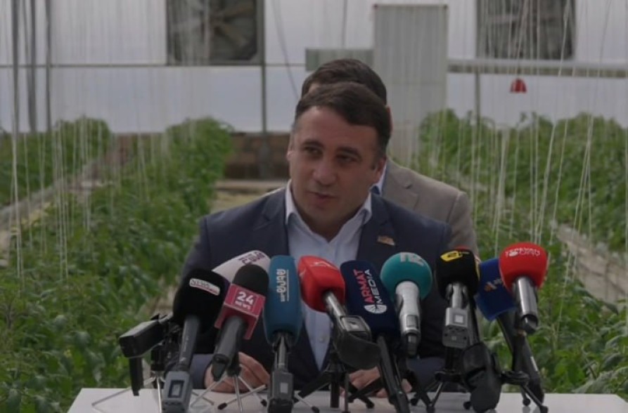 Խաղողի այգիները քանդել են, բերքը պակասել է, դրա համար էլ կարողանում են մթերում իրականացնել. Հարություն Մնացականյան