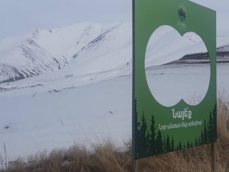 “International Day of Forests” marked by meaningful achievements (Video)