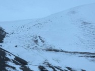 В ряде регионов республики идет снег