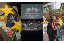 MyAmeria Star հավելվածի օգտատերերը` Harry Potter-ի կախարդական աշխարհում. անակնկալները շարունակվում են