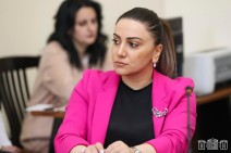 Арусяк Манавазян выдвинута на пост руководителя фракции «Гражданский договор»