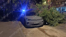 Պարոնյան փողոցում ծառի ճյուղի մի հատված կոտրվել և ընկել է կայանված «Volkswagen»-ի և «Toyota»-ի վրա