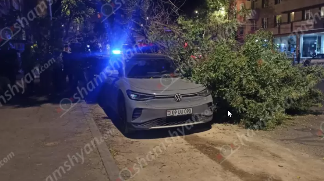 Պարոնյան փողոցում ծառի ճյուղի մի հատված կոտրվել և ընկել է կայանված «Volkswagen»-ի և «Toyota»-ի վրա